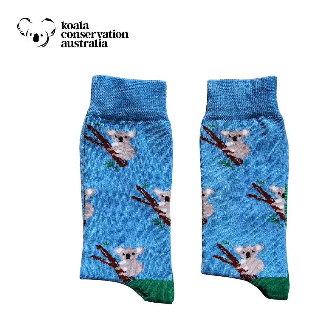 An Australian Made Cotton Sock, Featuring a Koala print.